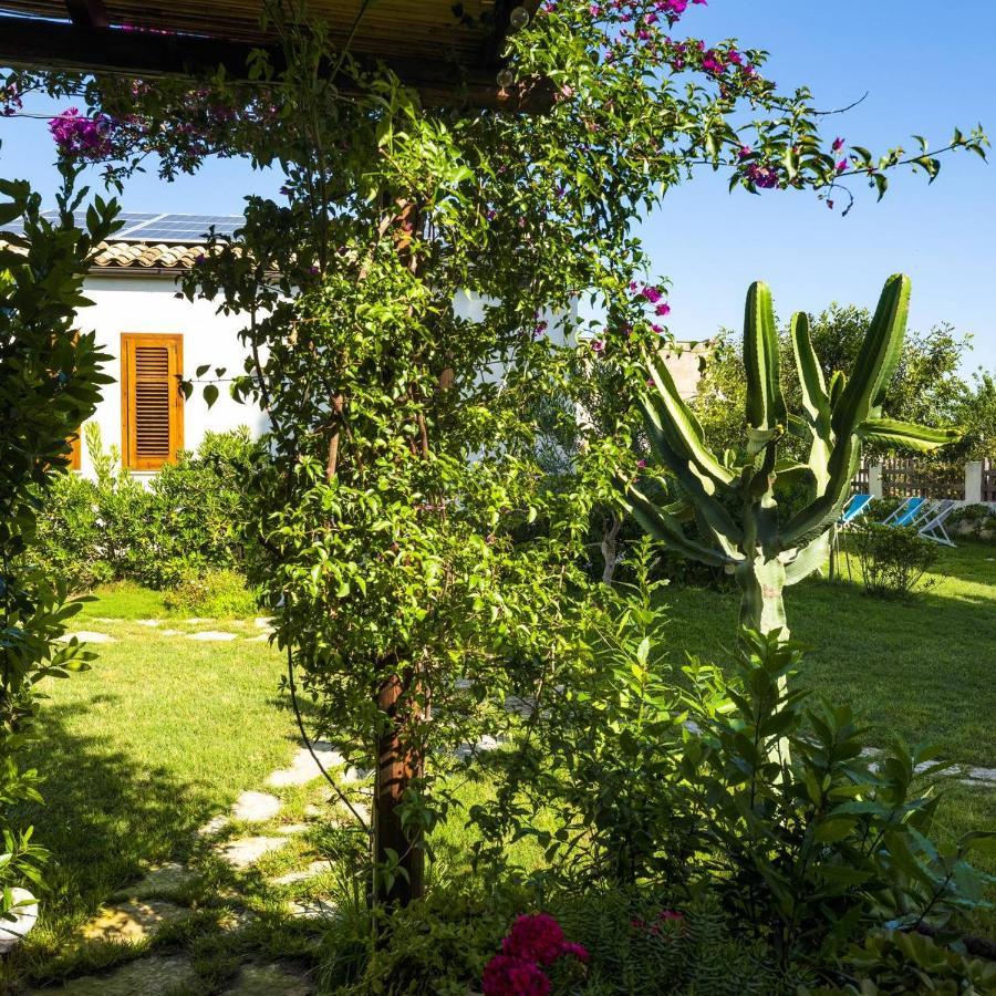 Stagnone Area Zero Bed & Breakfast บีร์จิเวคคี ภายนอก รูปภาพ